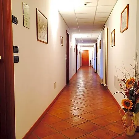 La Vigneta